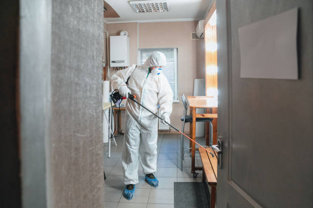 Best Mold Remediation for Healthcare Facilities  in Dayton, KY